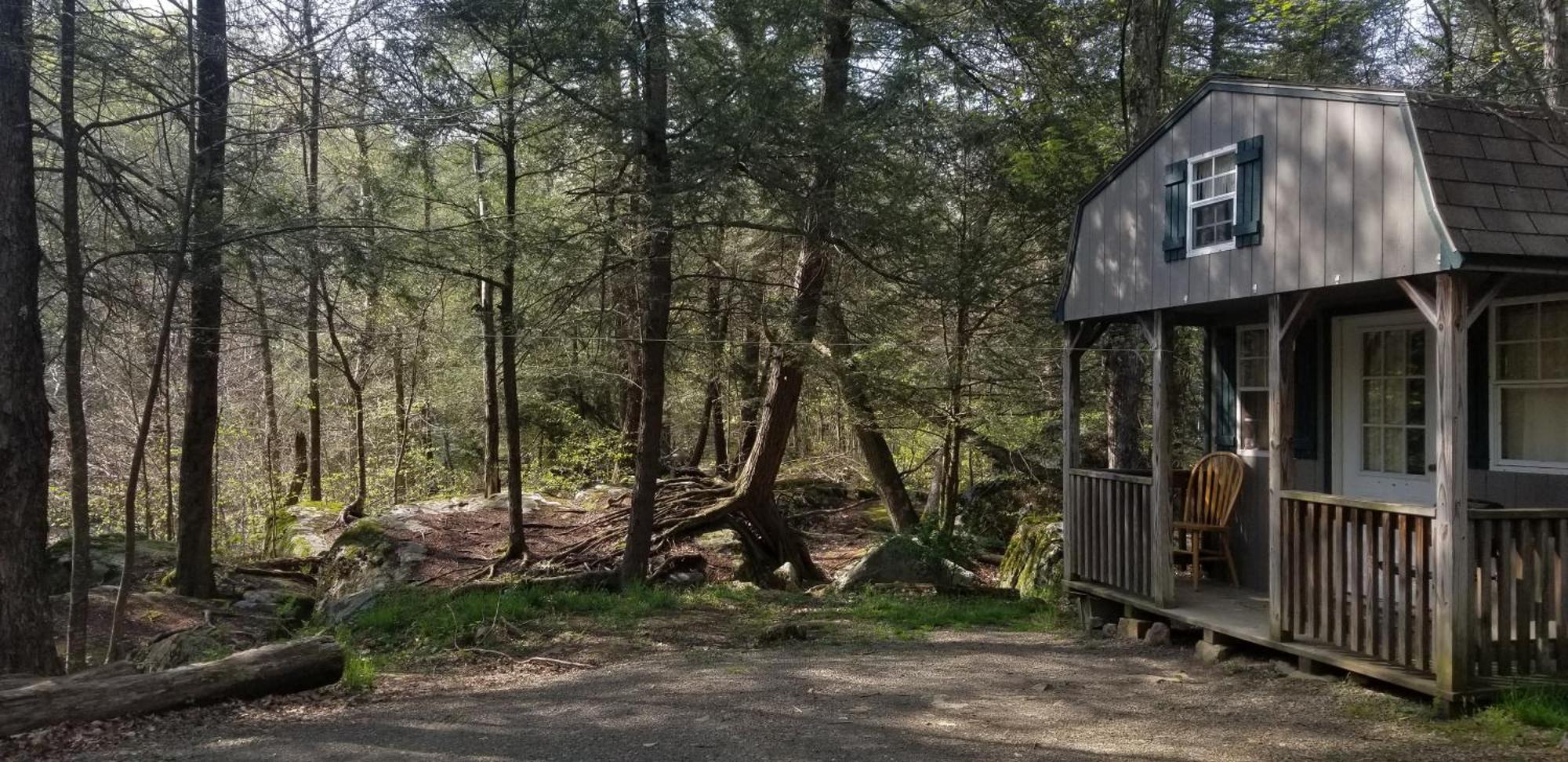 Abrams Creek Campground Mount Storm Kültér fotó