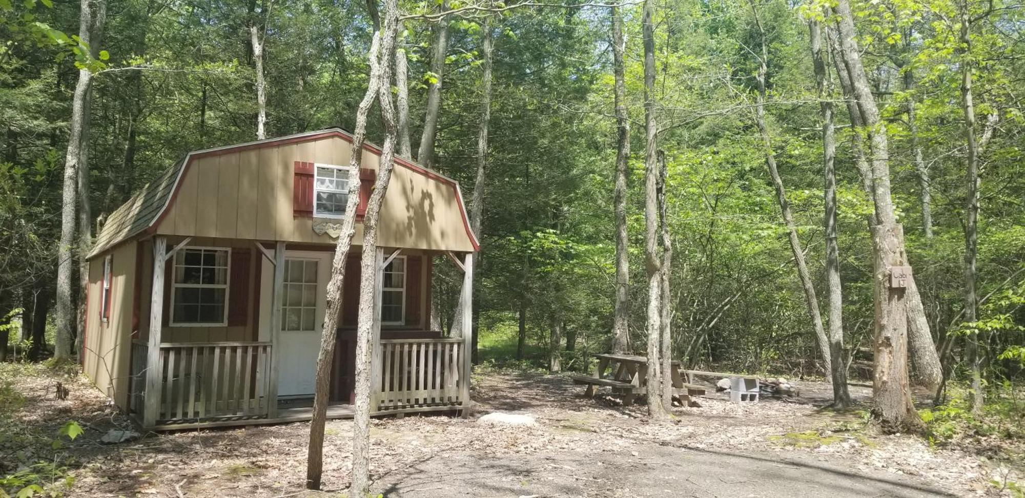 Abrams Creek Campground Mount Storm Kültér fotó