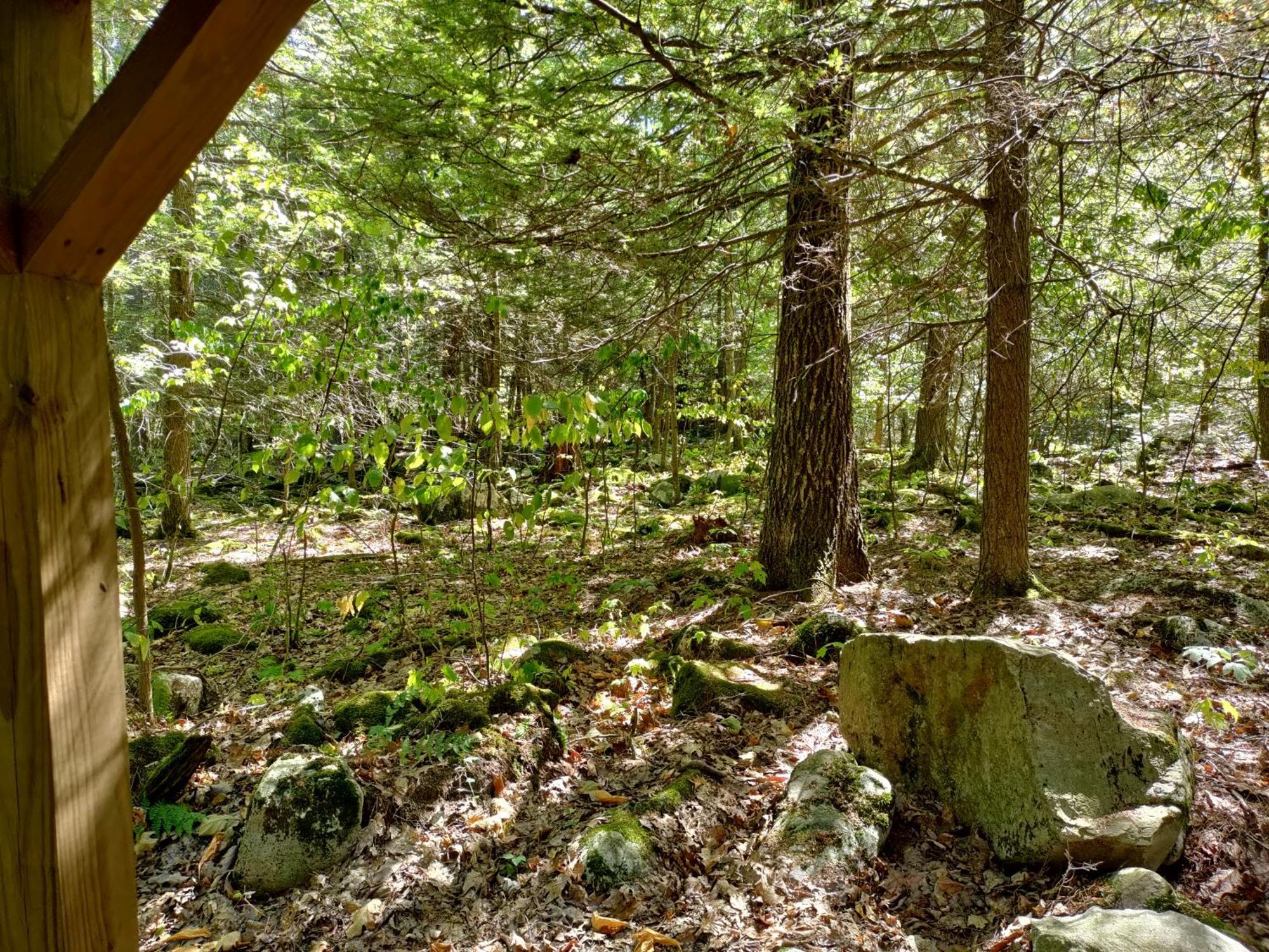 Abrams Creek Campground Mount Storm Kültér fotó
