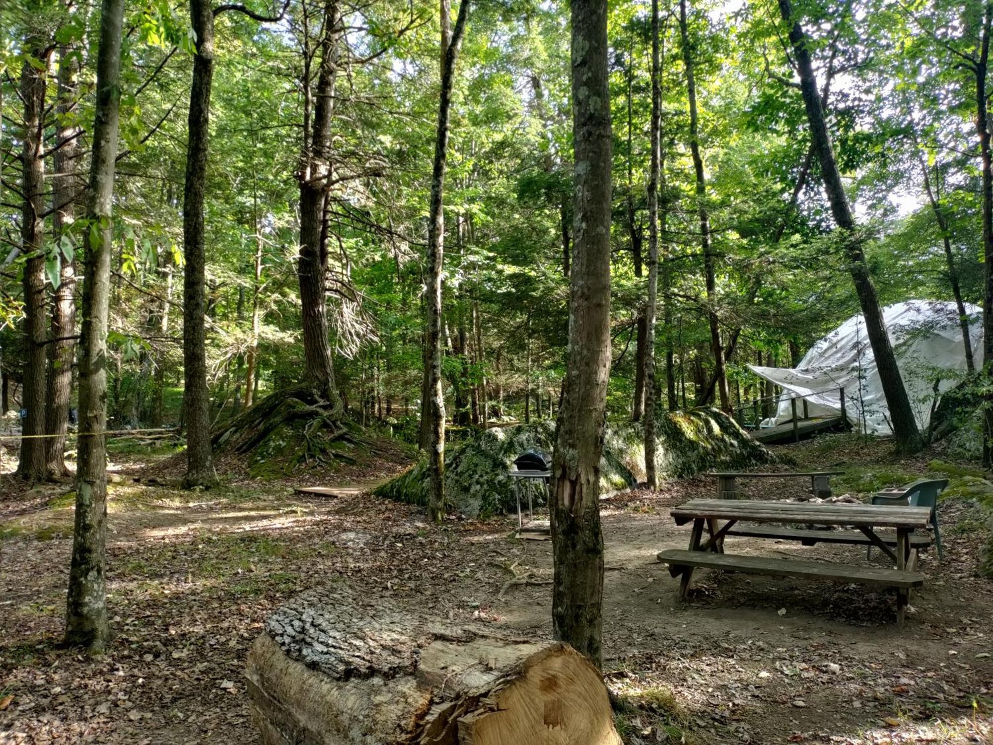 Abrams Creek Campground Mount Storm Kültér fotó